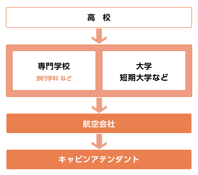 キャビンアテンダントになるには?